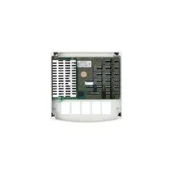 JAN POPULUS P-16-B