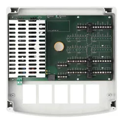 JAN POPULUS P-2-B