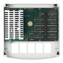 JAN POPULUS P-4-B