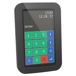 JAN REGIS H-1-B