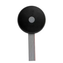 JAN BUTTON D-C-R