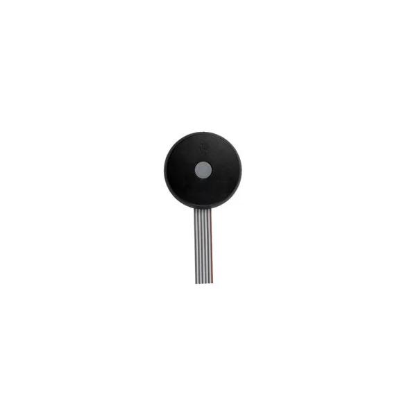 JAN BUTTON D-C-R